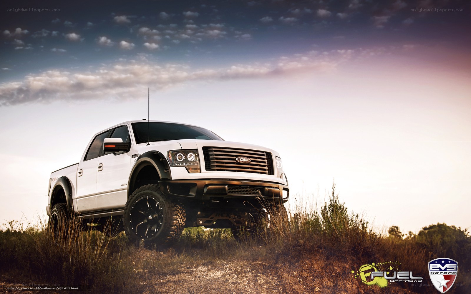 White Ford F-150 off-road truck