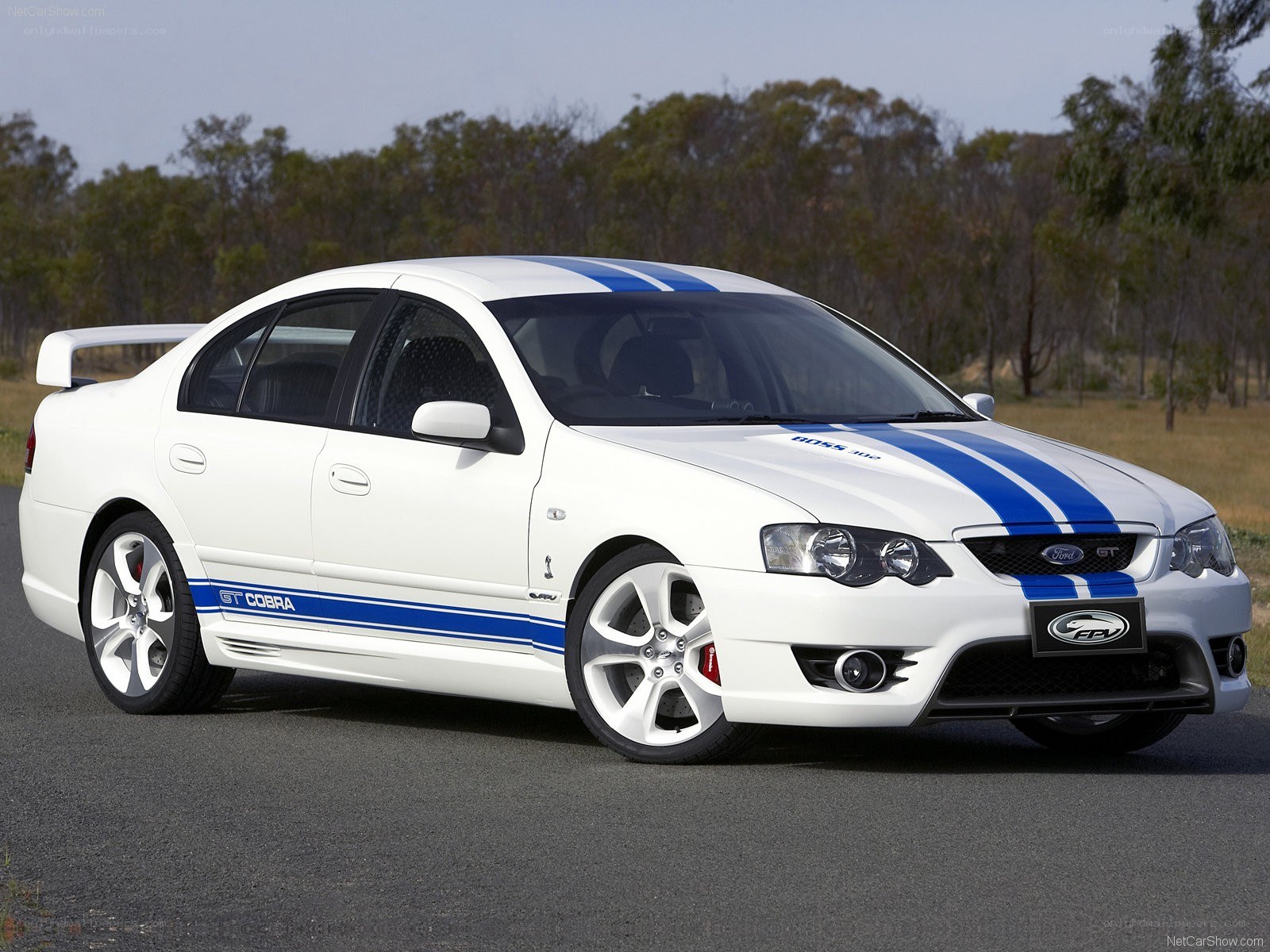 white ford falcon gt cobra