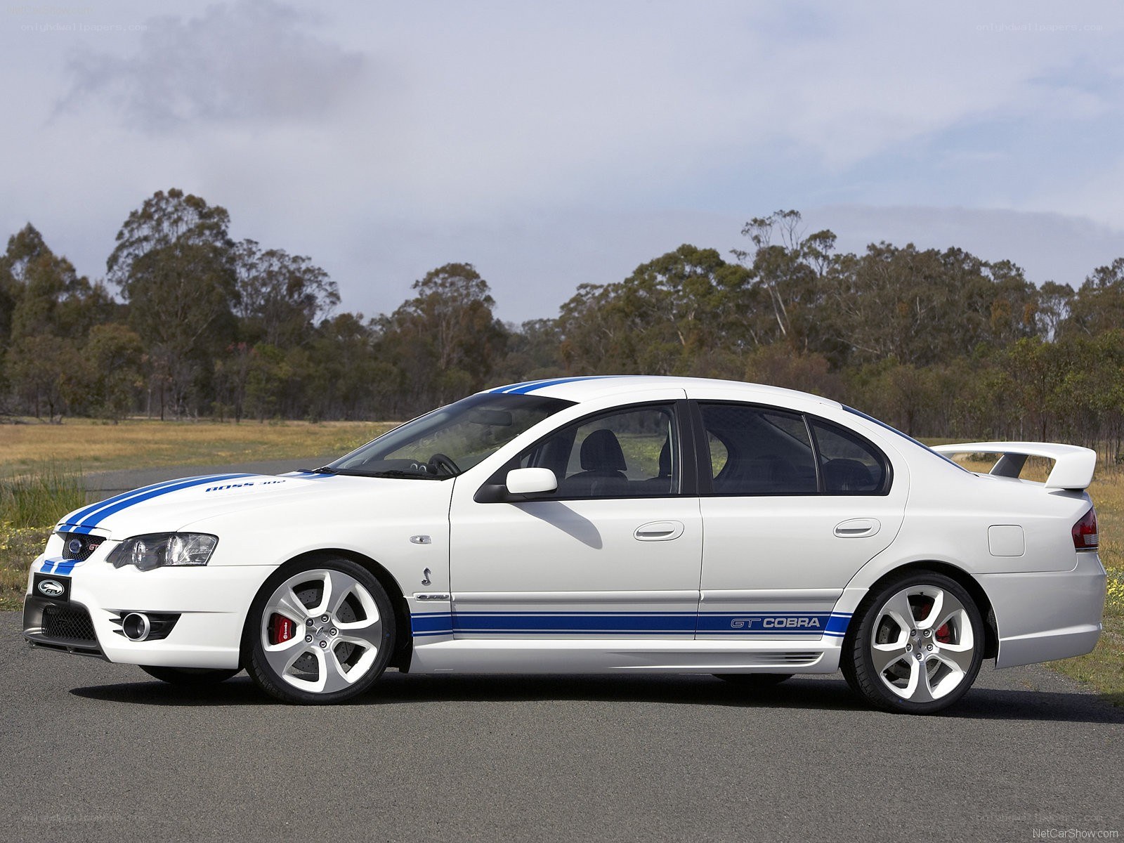 white ford falcon gt cobra