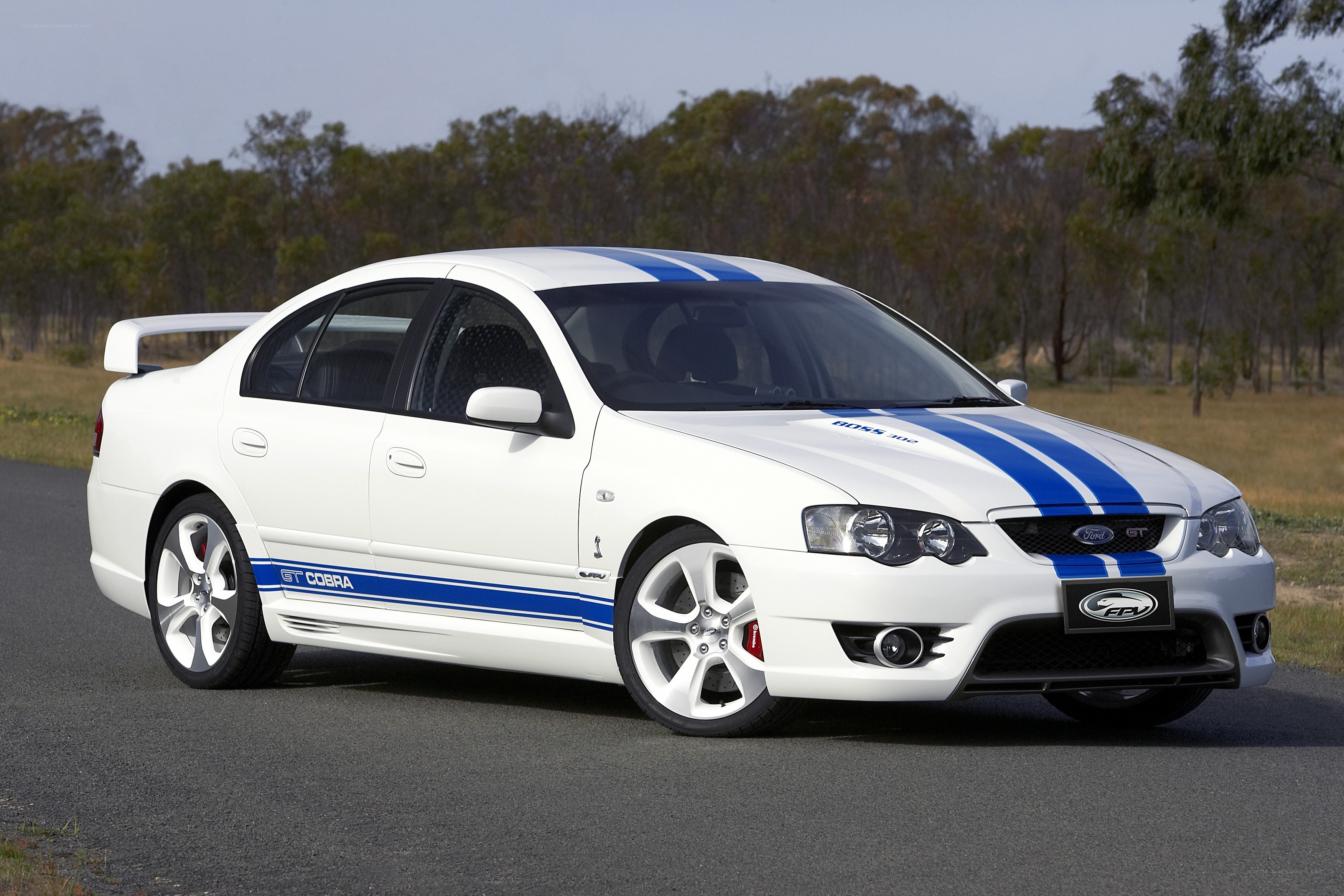 white Ford Falcon GT Cobra