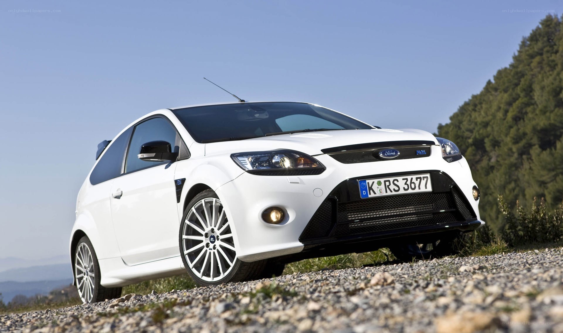white ford focus rs car