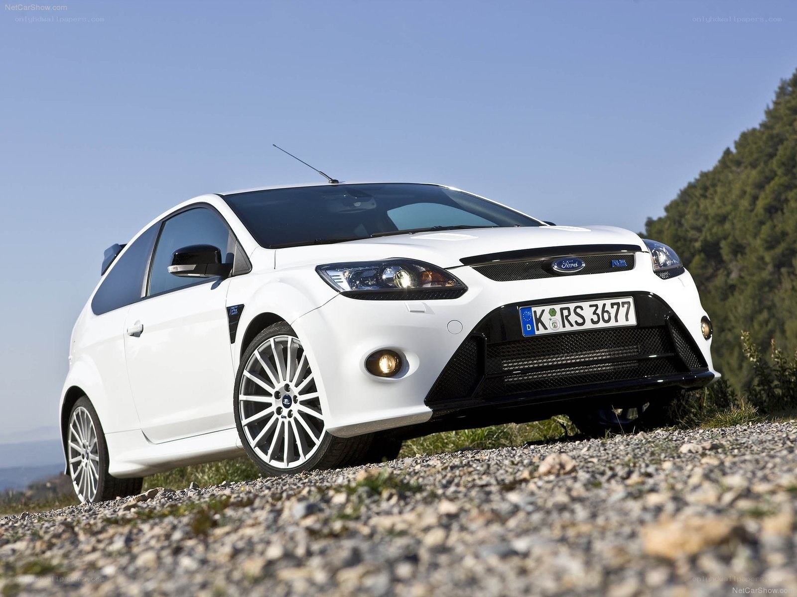 white ford focus rs car