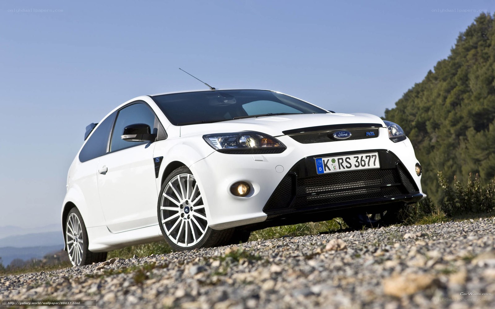 white ford focus rs car