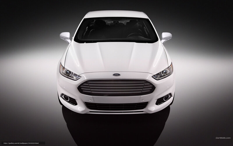 White Ford Fusion Car