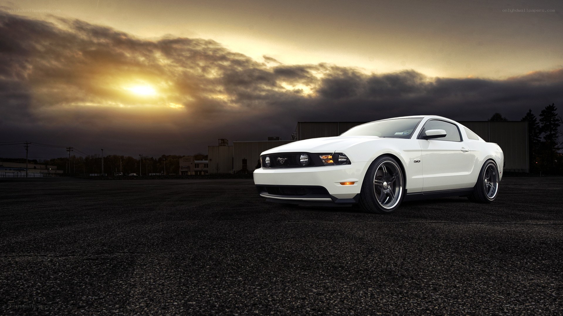 White Ford Mustang at sunset