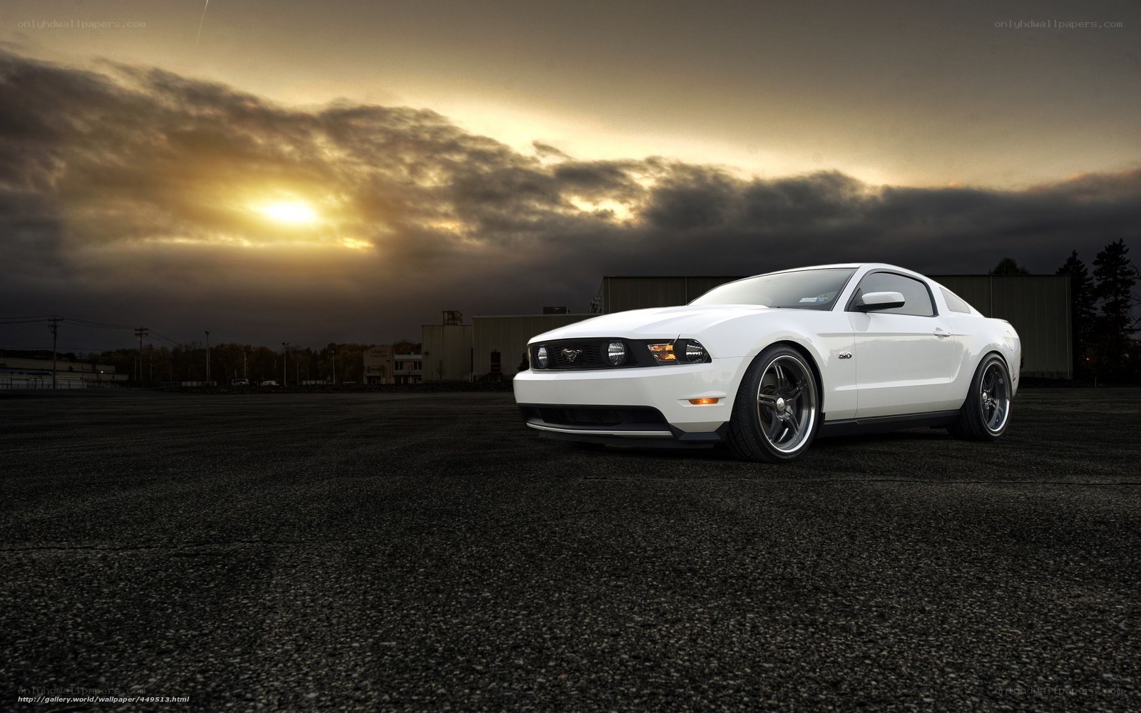 White Ford Mustang at sunset