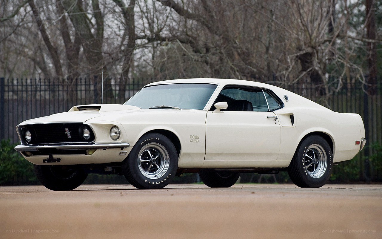 White Ford Mustang Boss 429