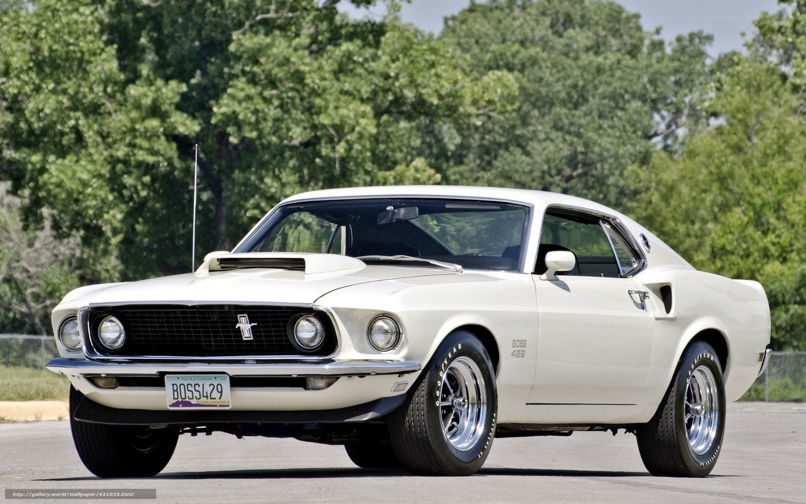 white ford mustang boss 429