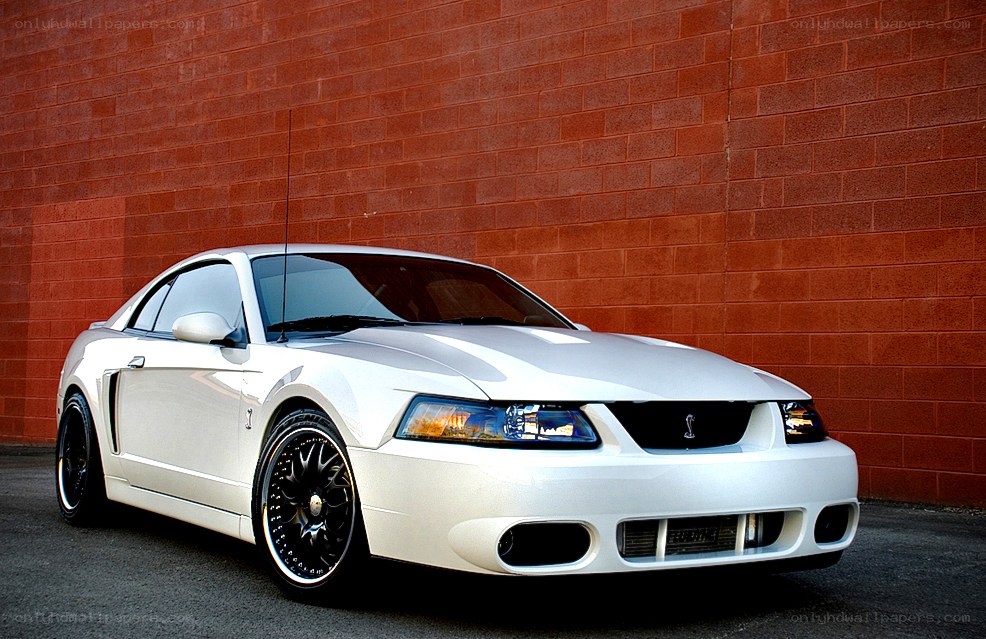 White Ford Mustang Cobra