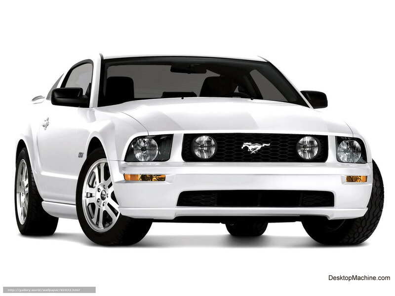 white ford mustang coupe