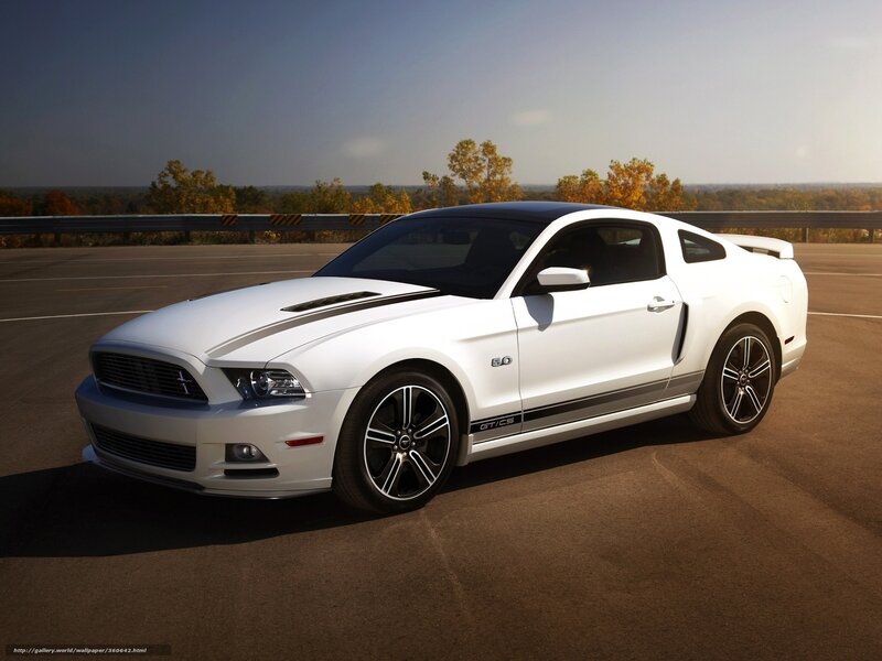 White Ford Mustang — Dramatic, Autumn, Photograph, Car