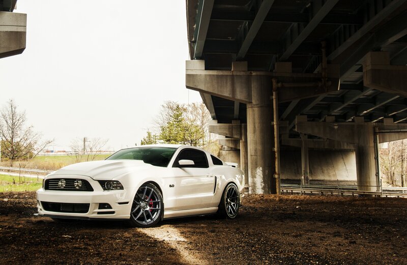 White Ford Mustang — Dramatic, Spring