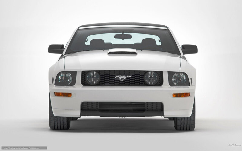 white ford mustang front view