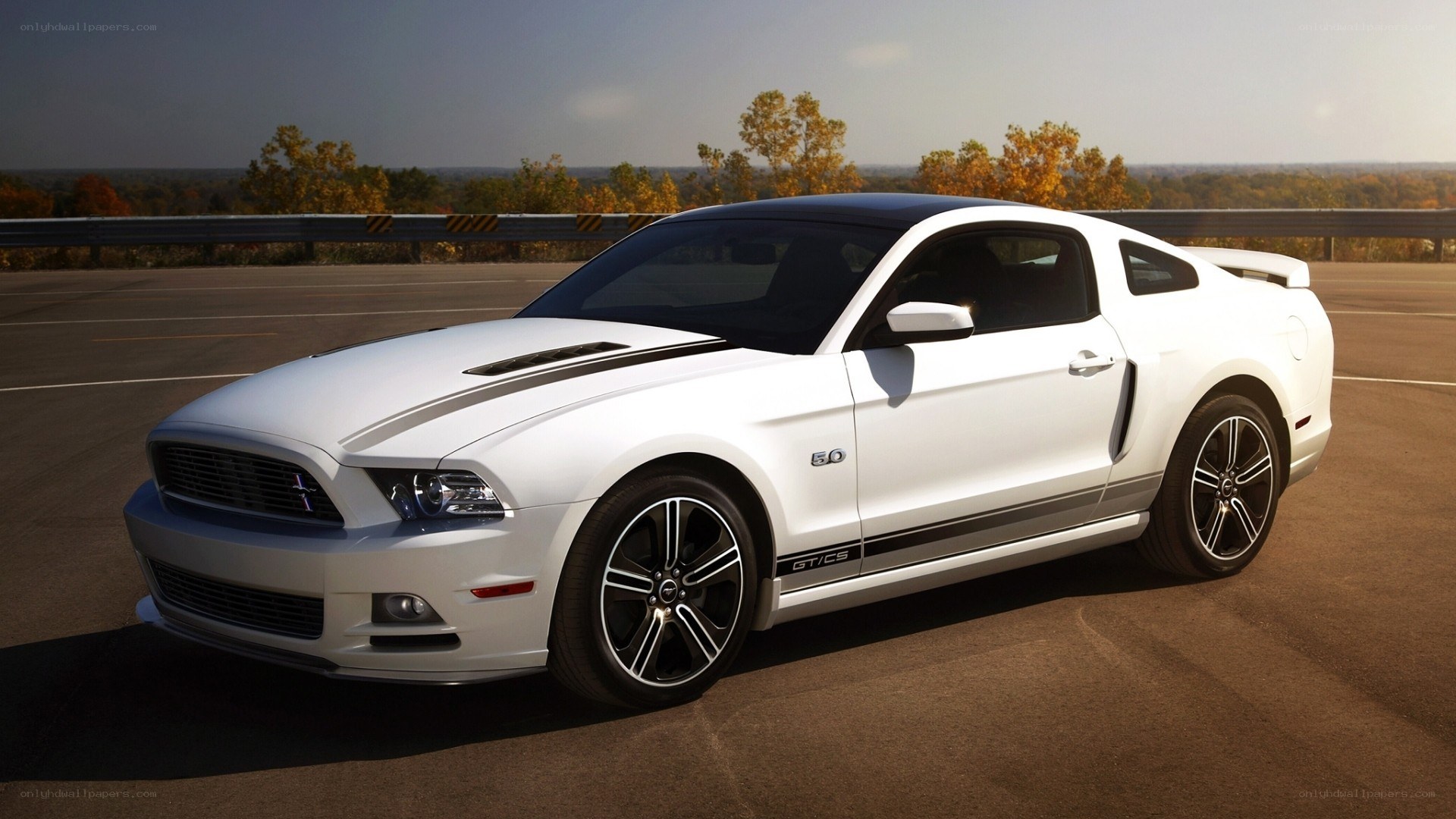 white ford mustang gt