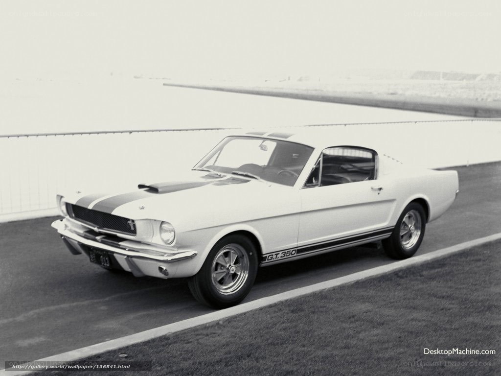 White Ford Mustang GT 350