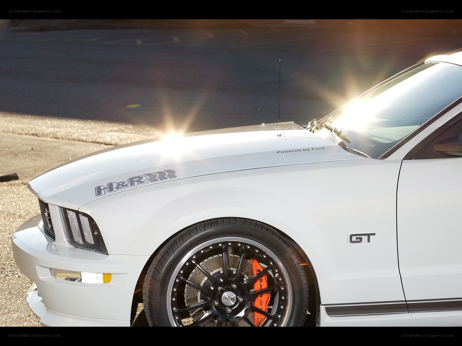 White Ford Mustang GT