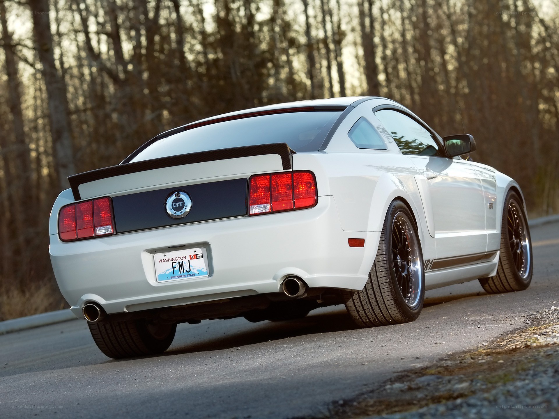 white ford mustang gt