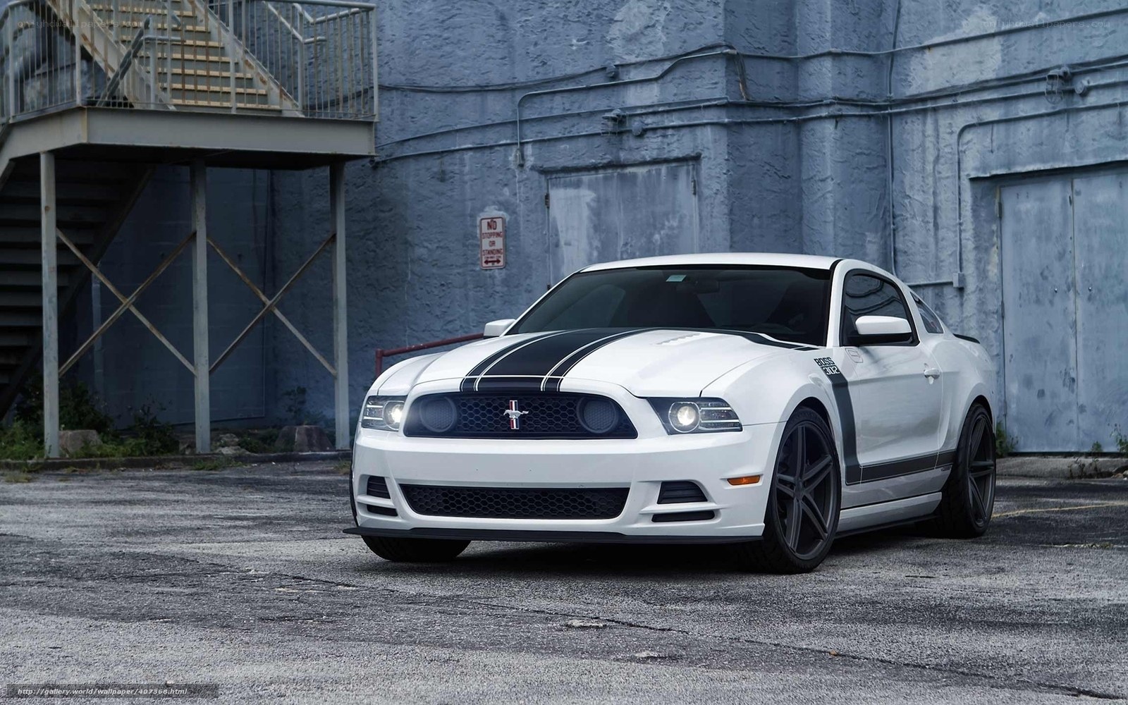 white ford mustang gt
