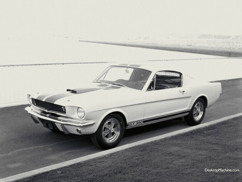 White Ford Mustang GT350