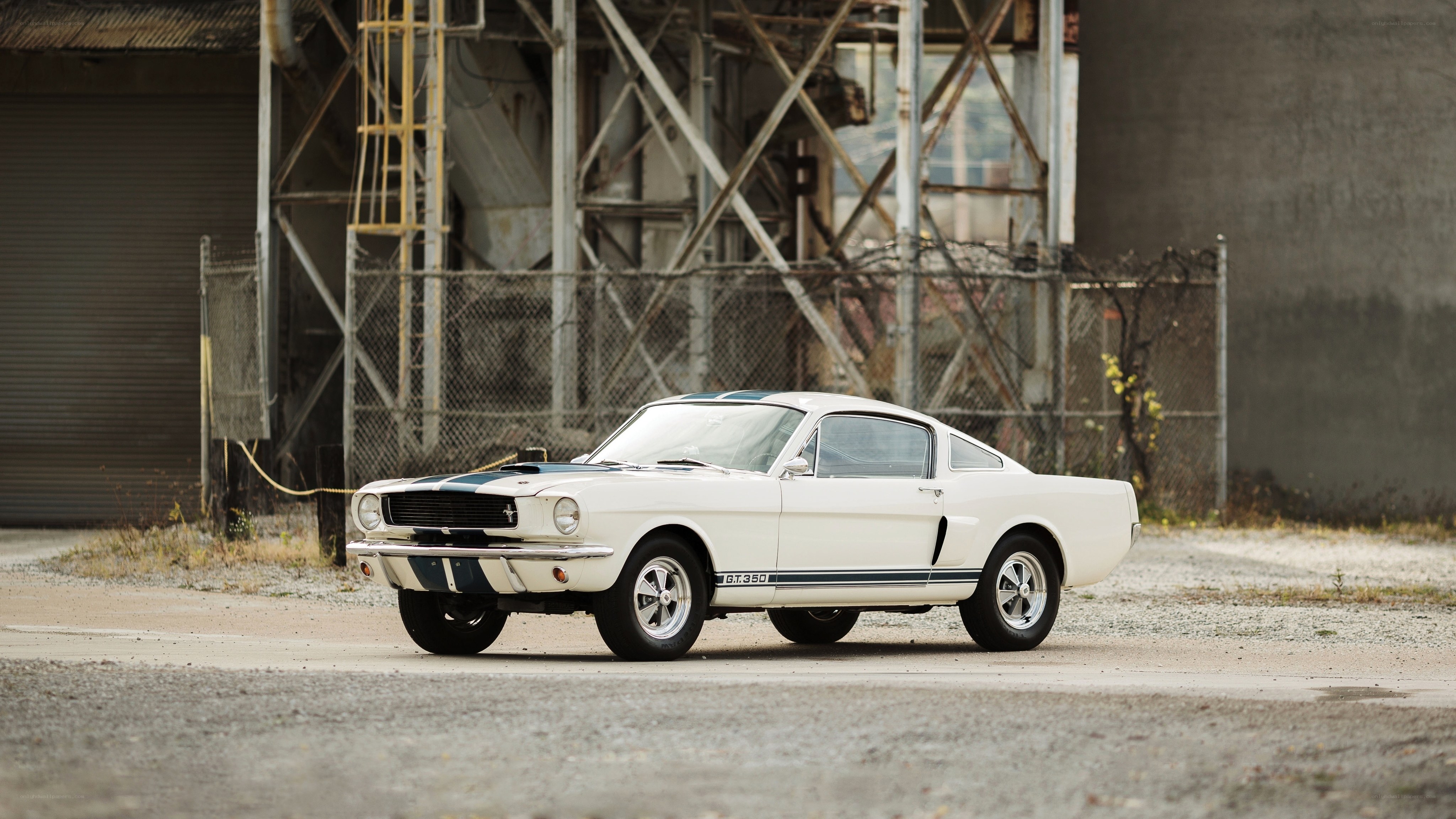 White Ford Mustang GT350
