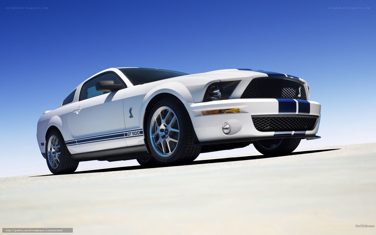White Ford Mustang GT500