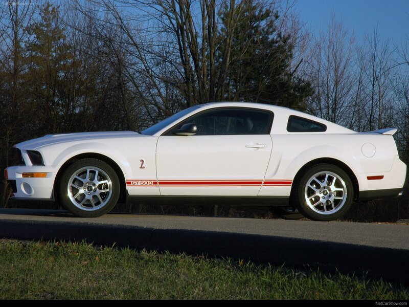 White Ford Mustang GT500 — Calm