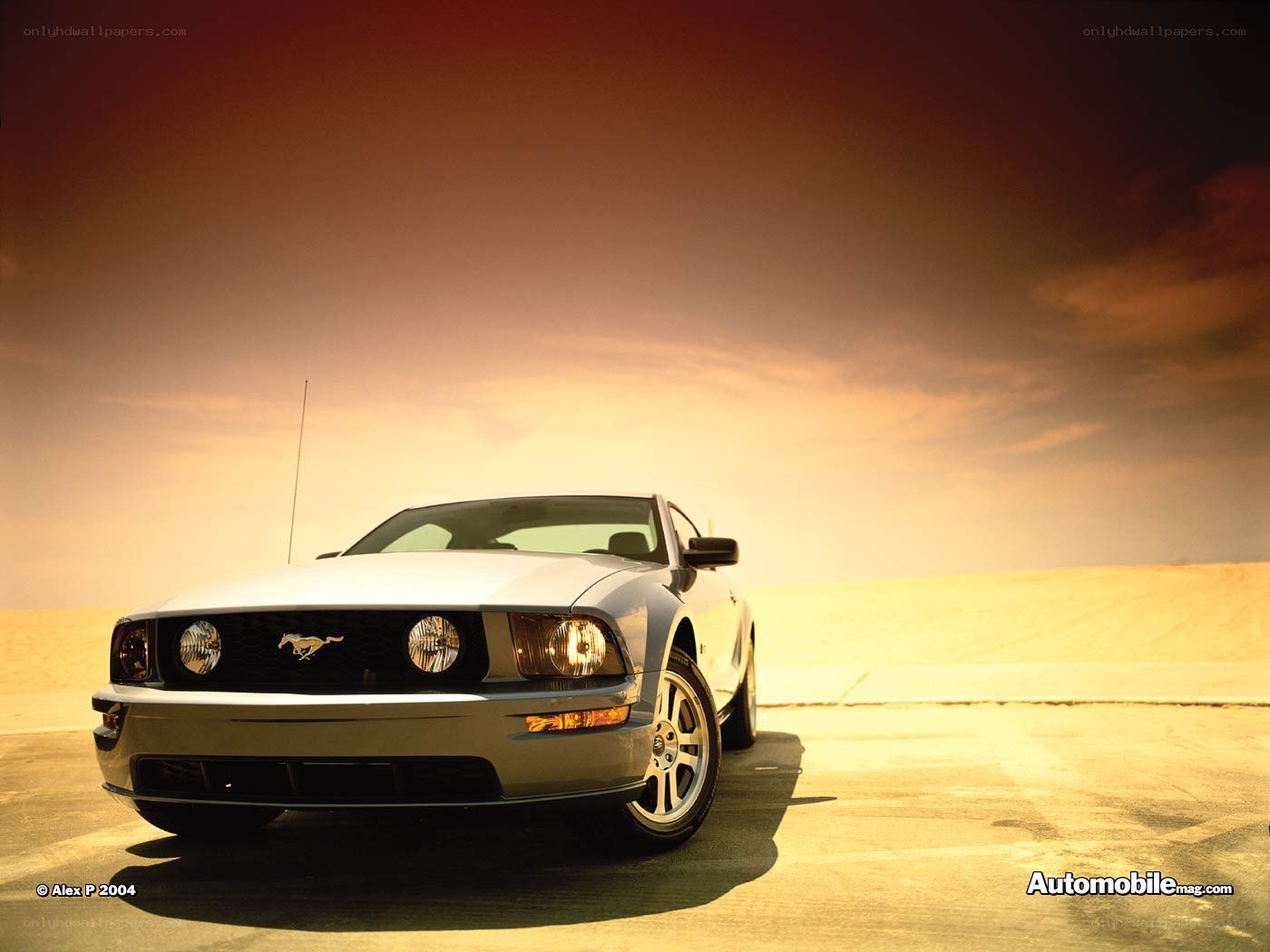 White Ford Mustang in desert