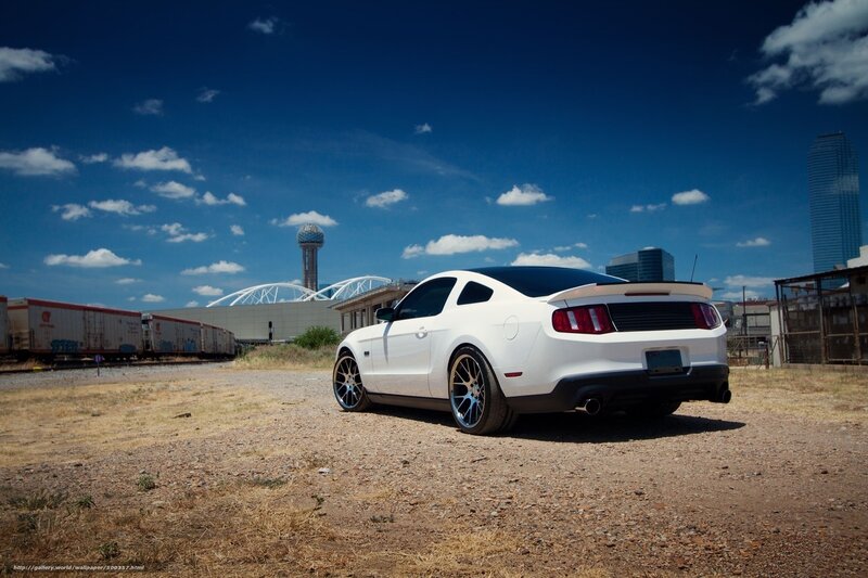 White Ford Mustang in urban setting