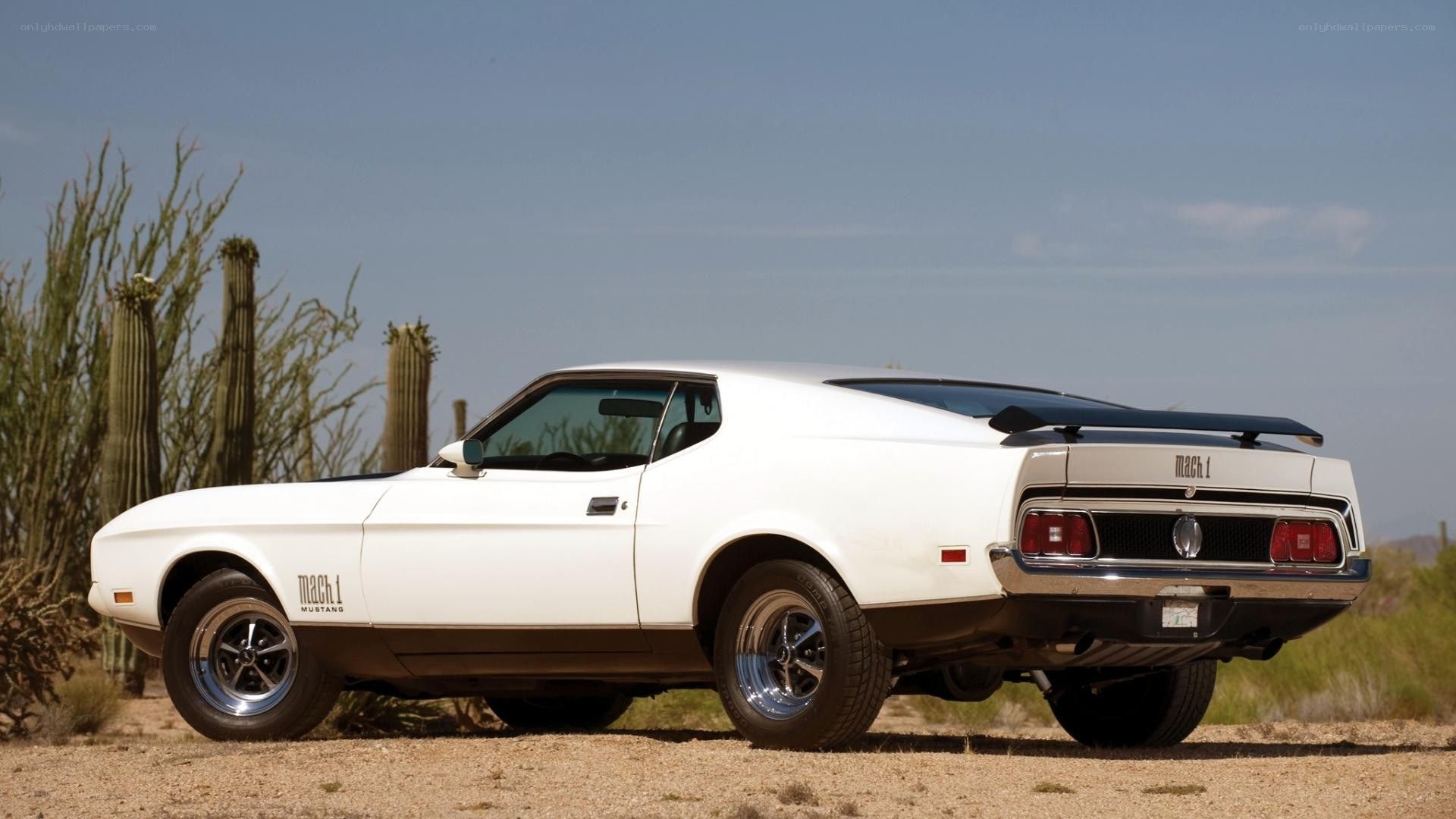 White Ford Mustang Mach 1