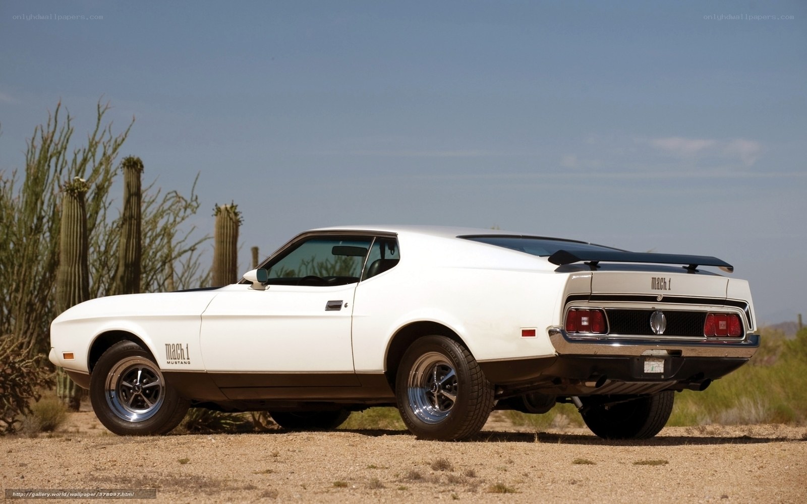 White Ford Mustang Mach 1