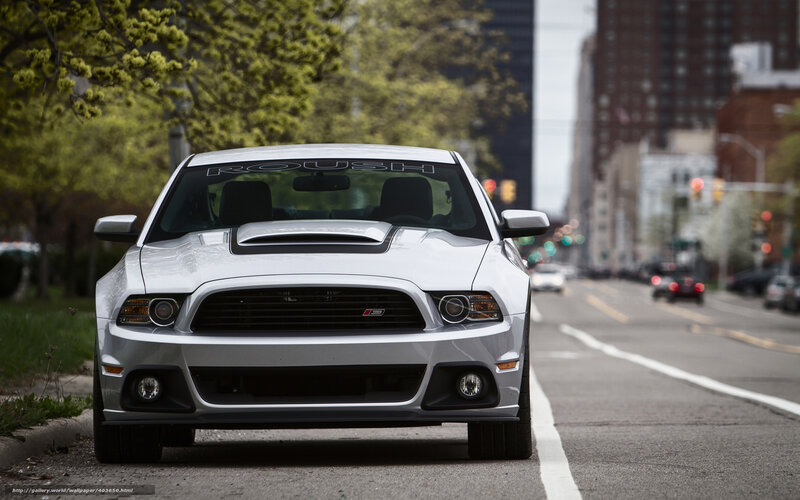 White Ford Mustang on city street