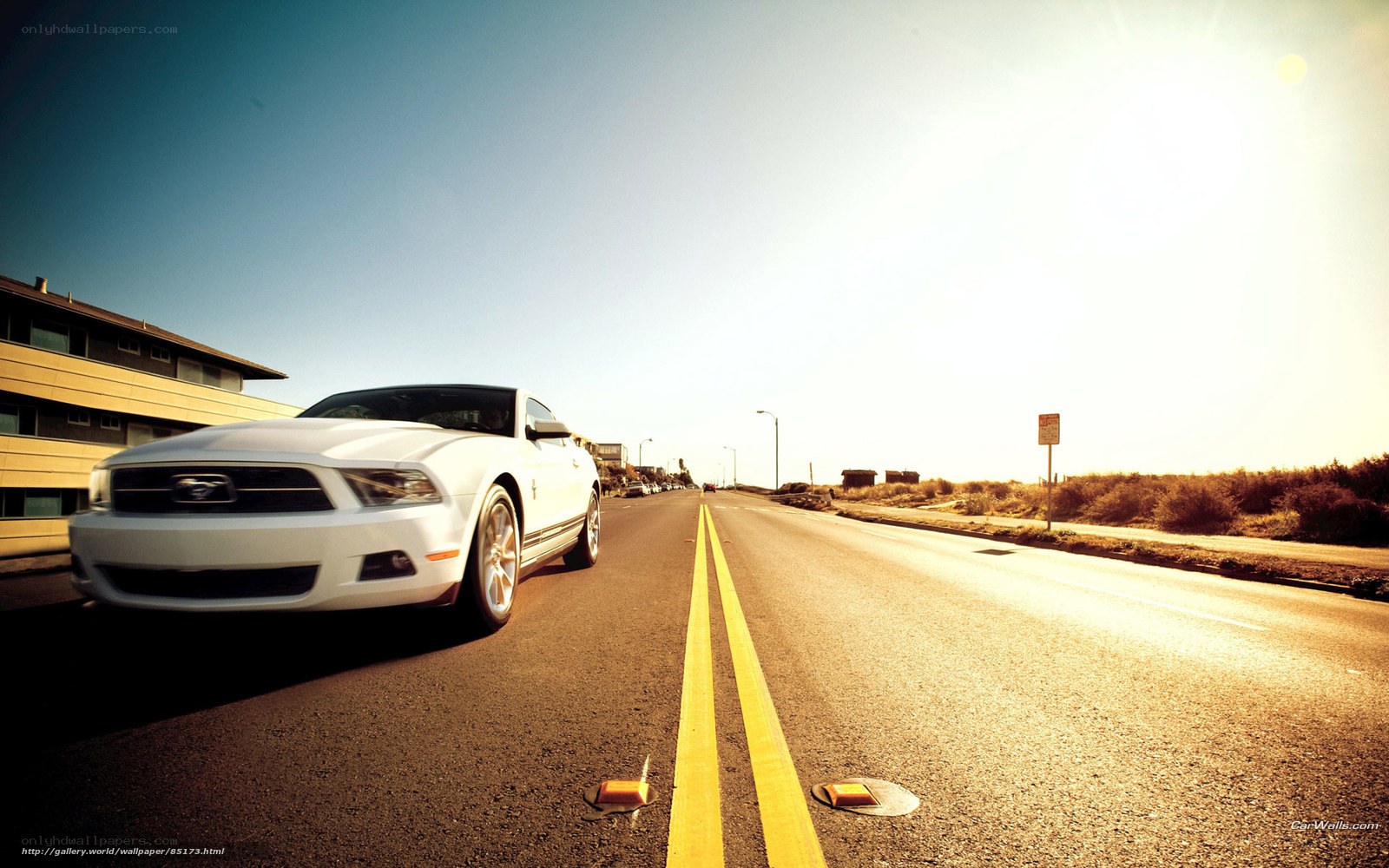 White Ford Mustang on coastal road