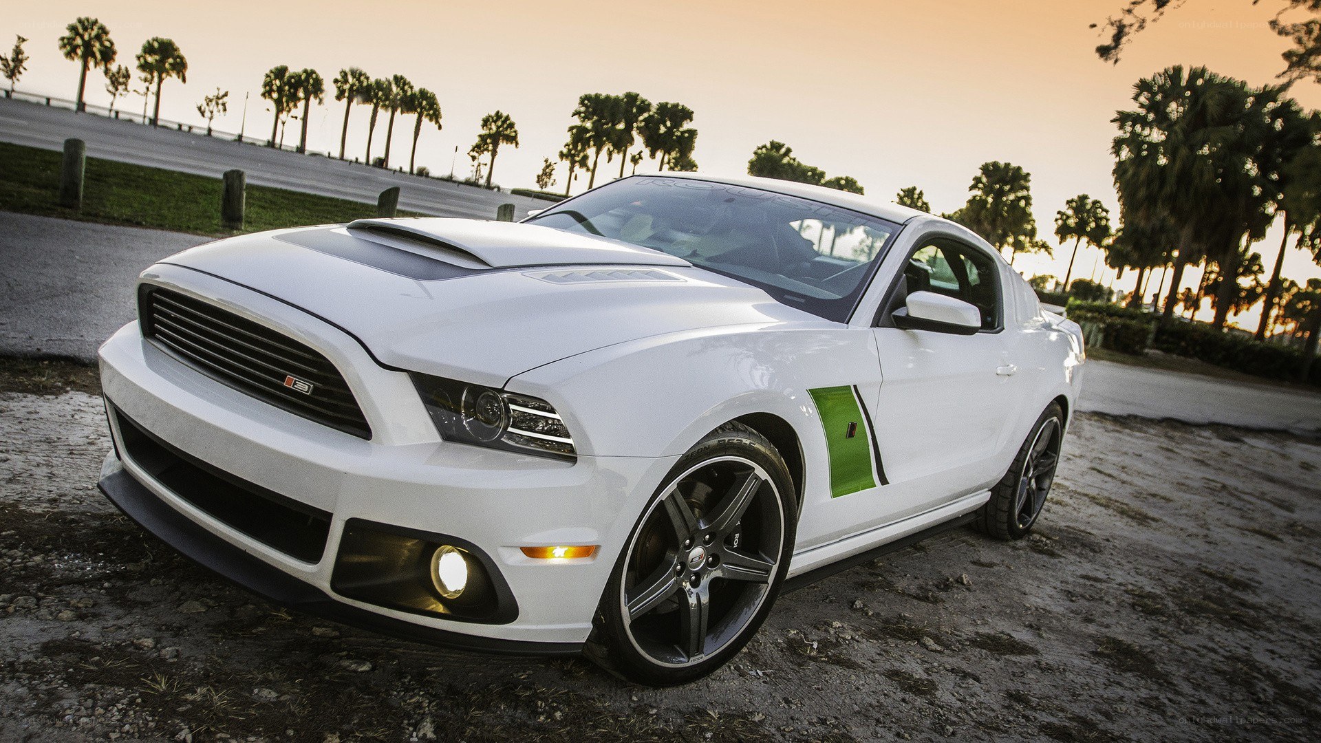 white ford mustang on dirt