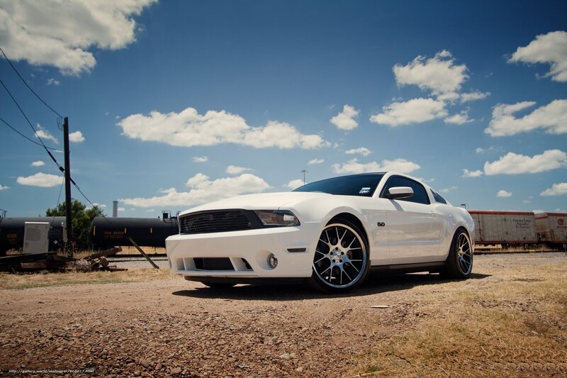 White Ford Mustang on gravel