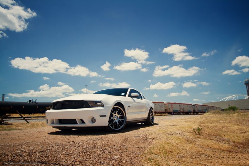 White Ford Mustang on gravel