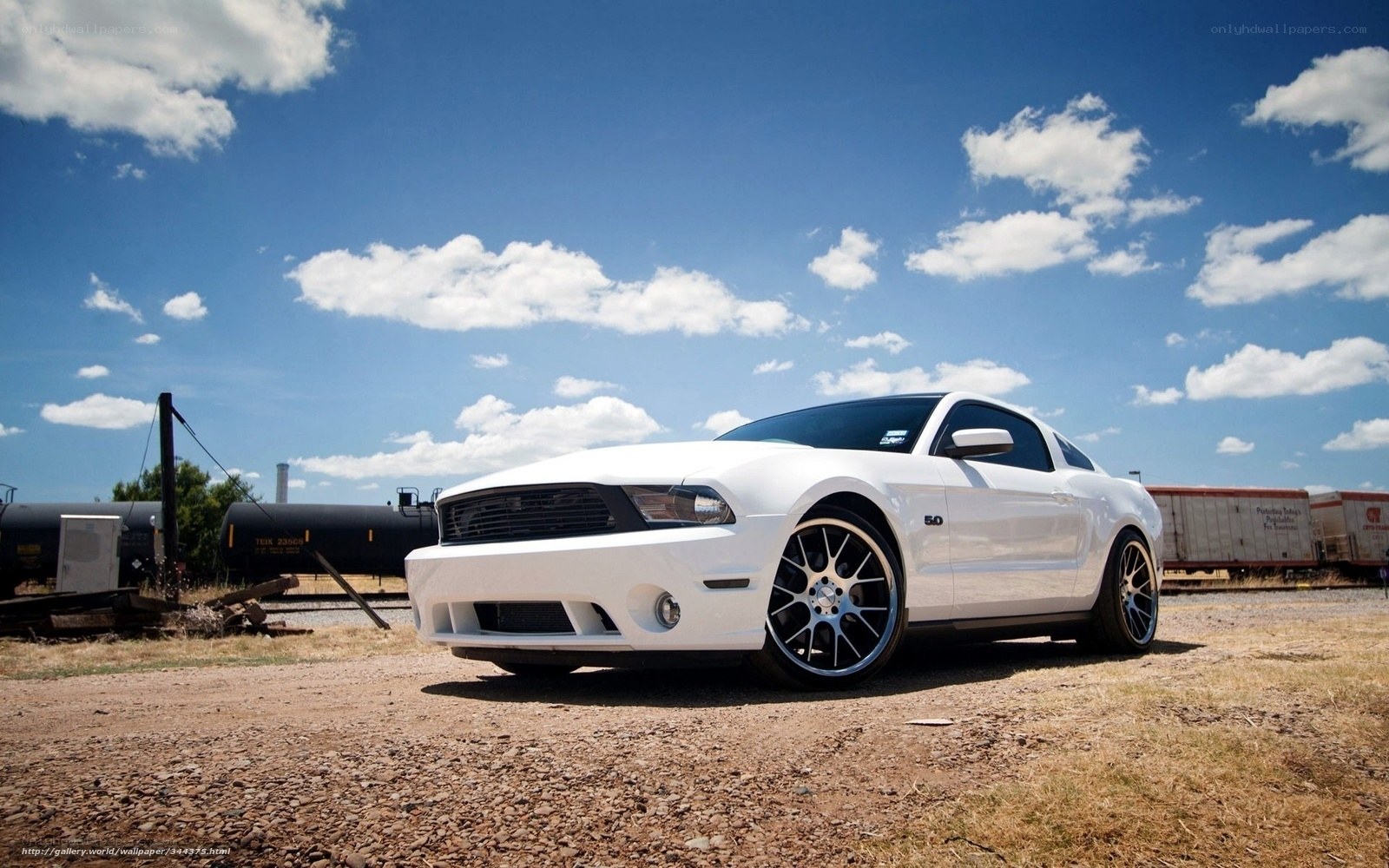 White Ford Mustang on gravel