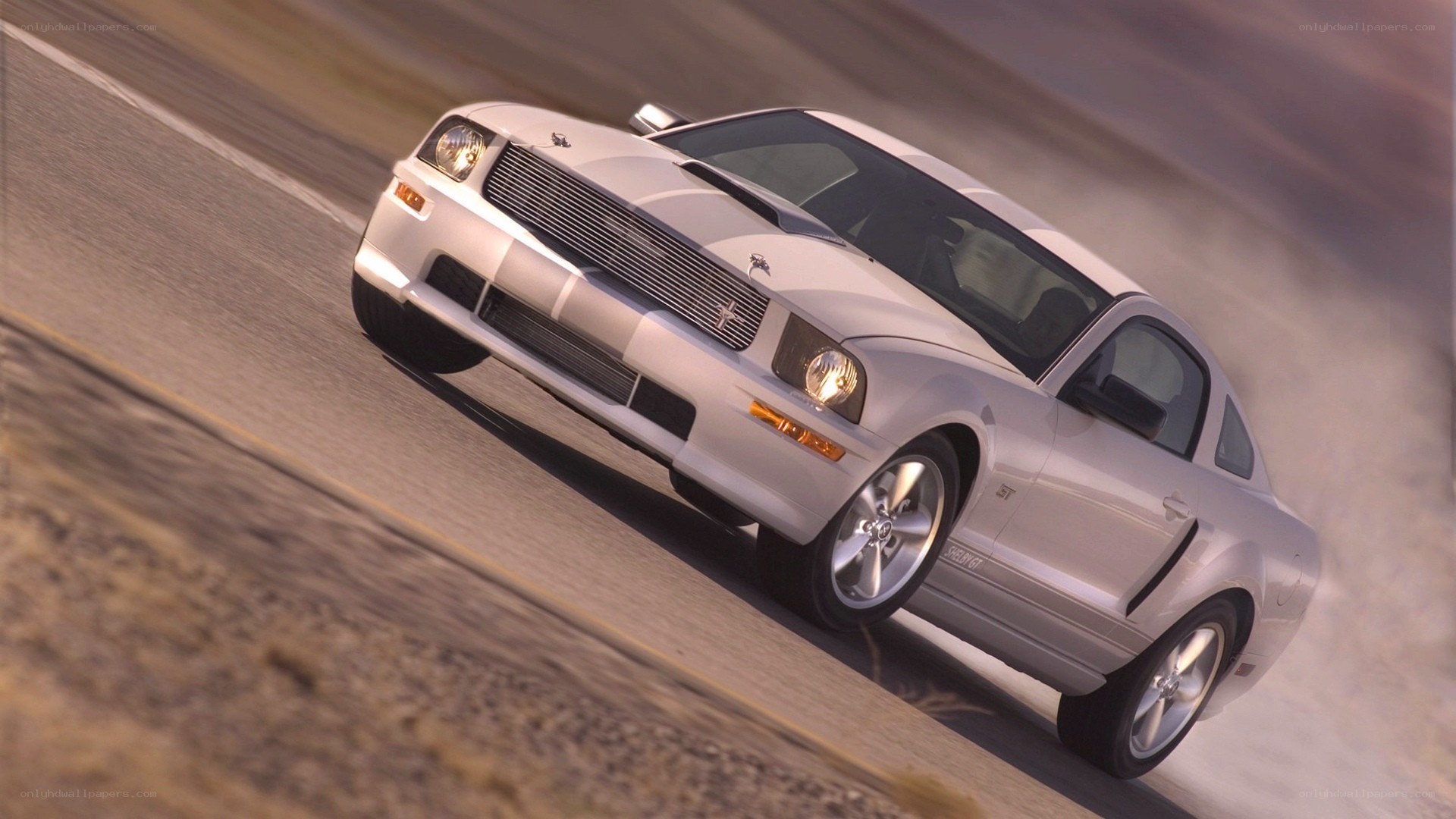 white ford mustang on road