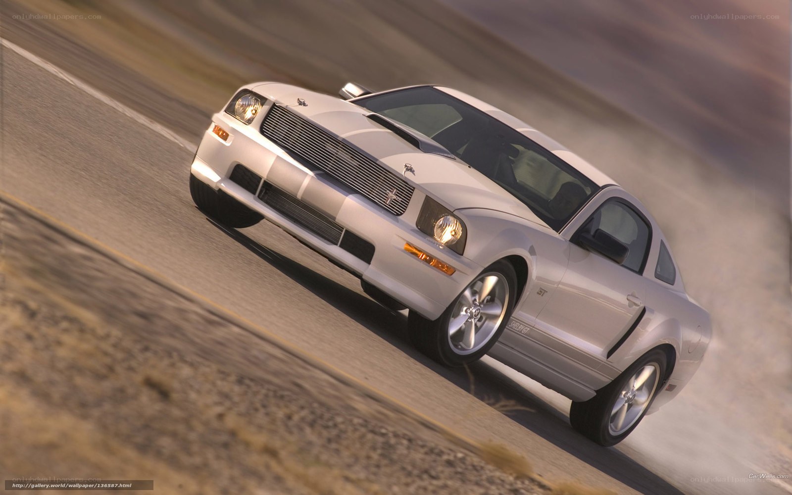 white ford mustang on road
