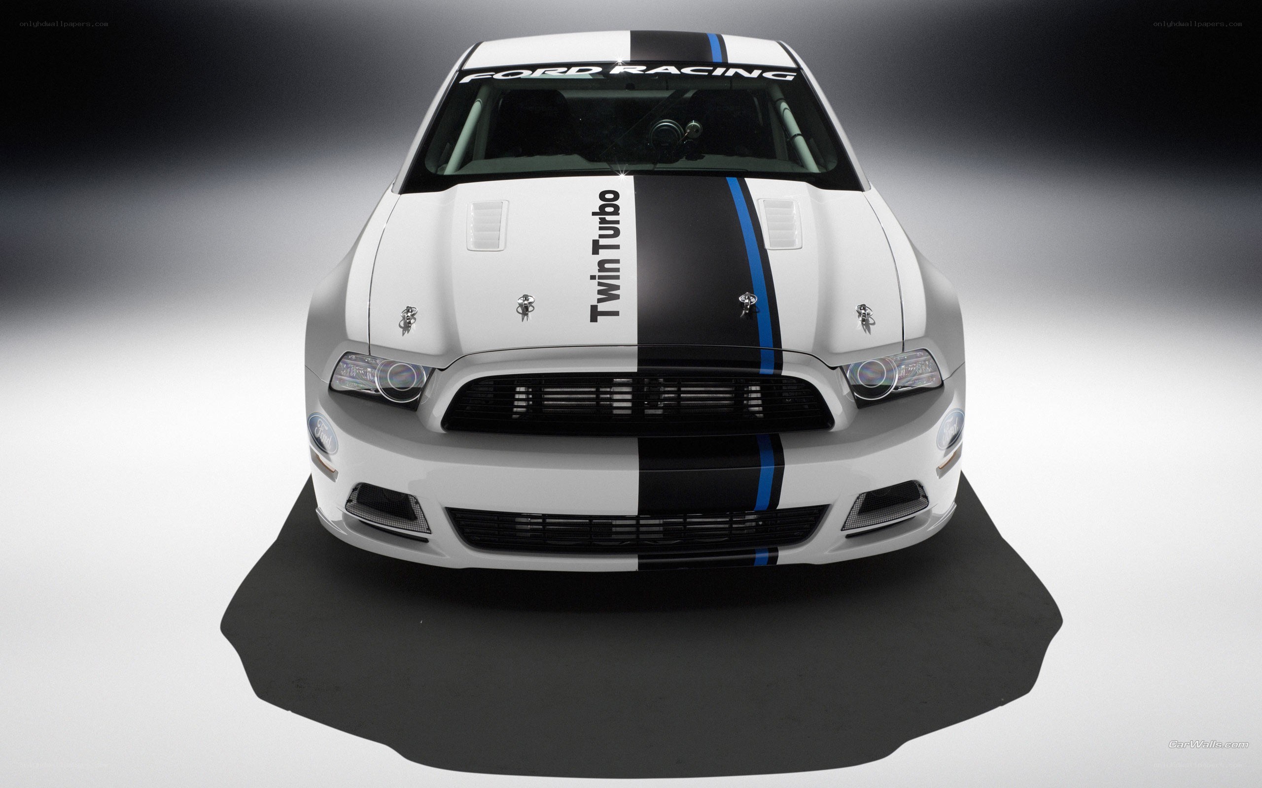 white ford mustang race car