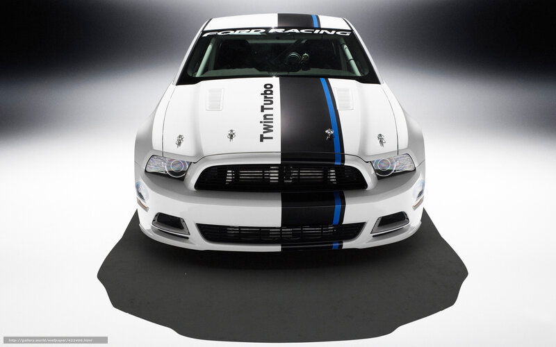 white ford mustang racing car
