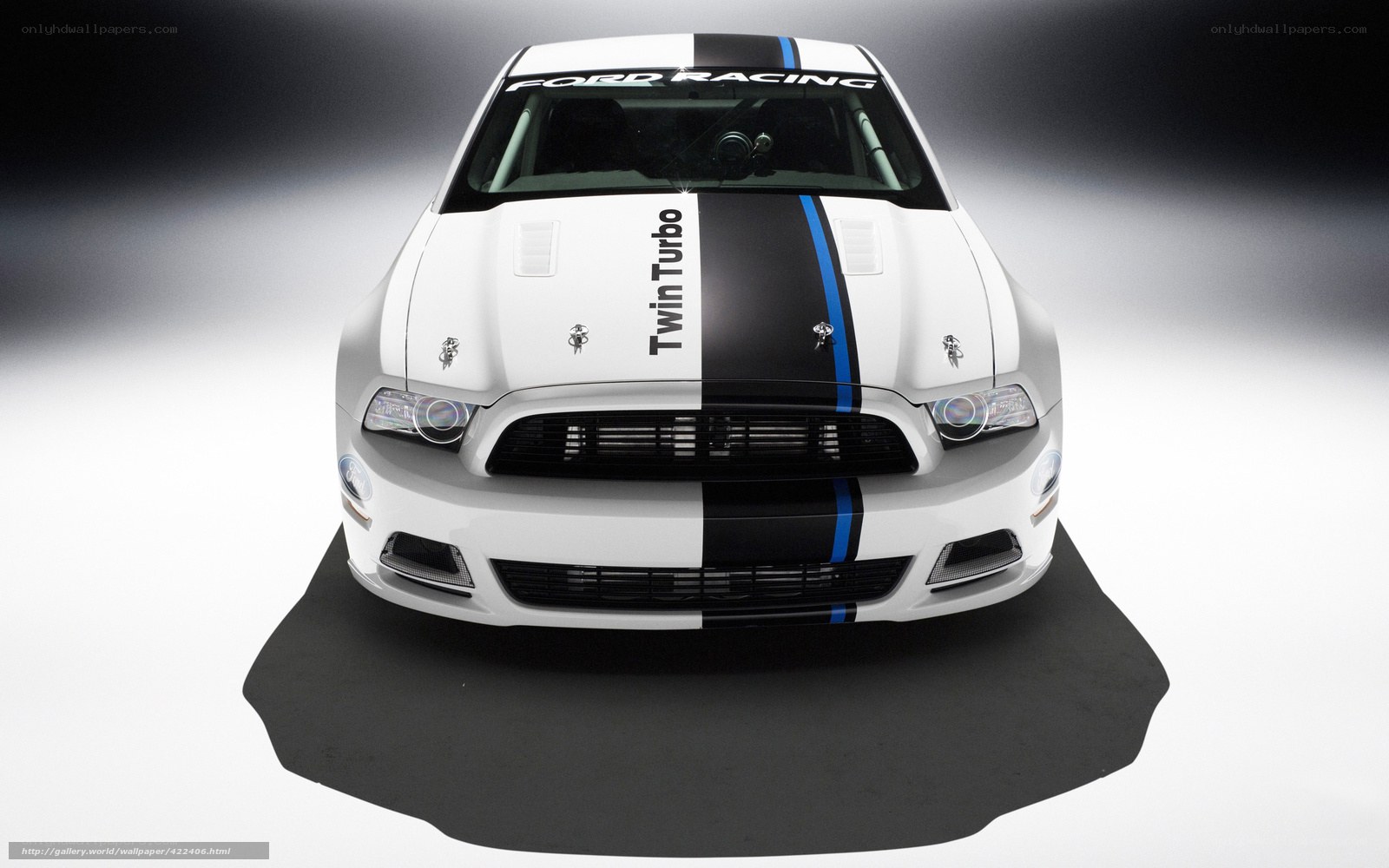 white ford mustang racing car