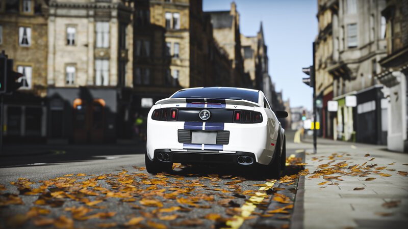 White Ford Mustang Shelby — Calm