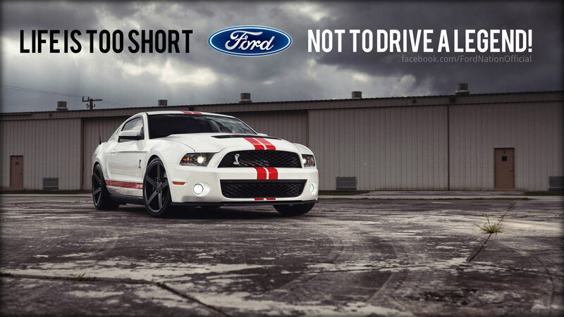 White Ford Mustang Shelby — Dramatic