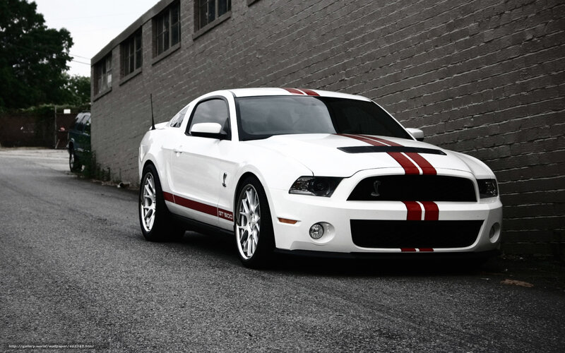 White Ford Mustang Shelby GT500