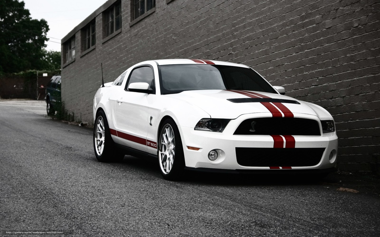 White Ford Mustang Shelby GT500