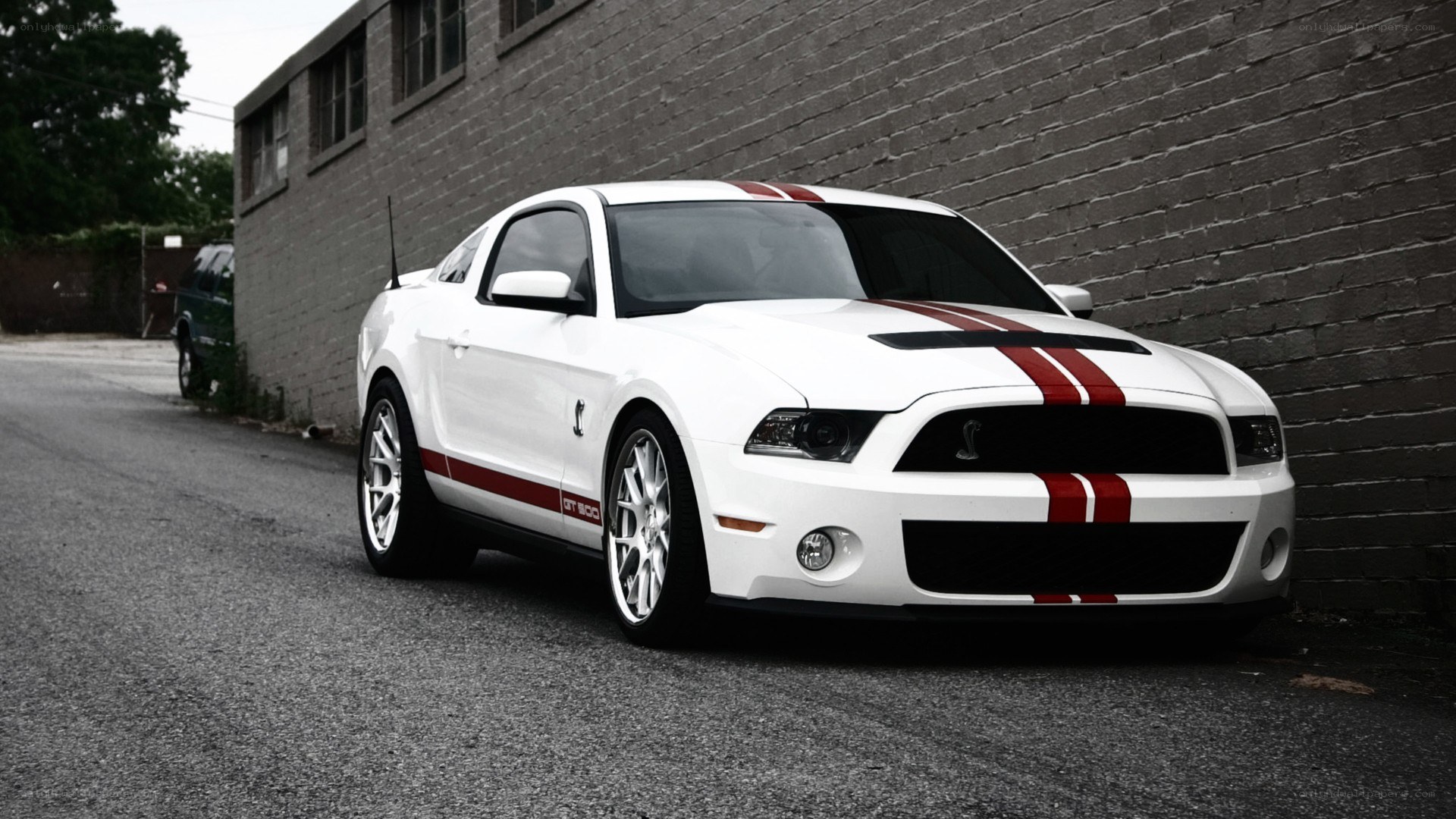 white ford mustang shelby