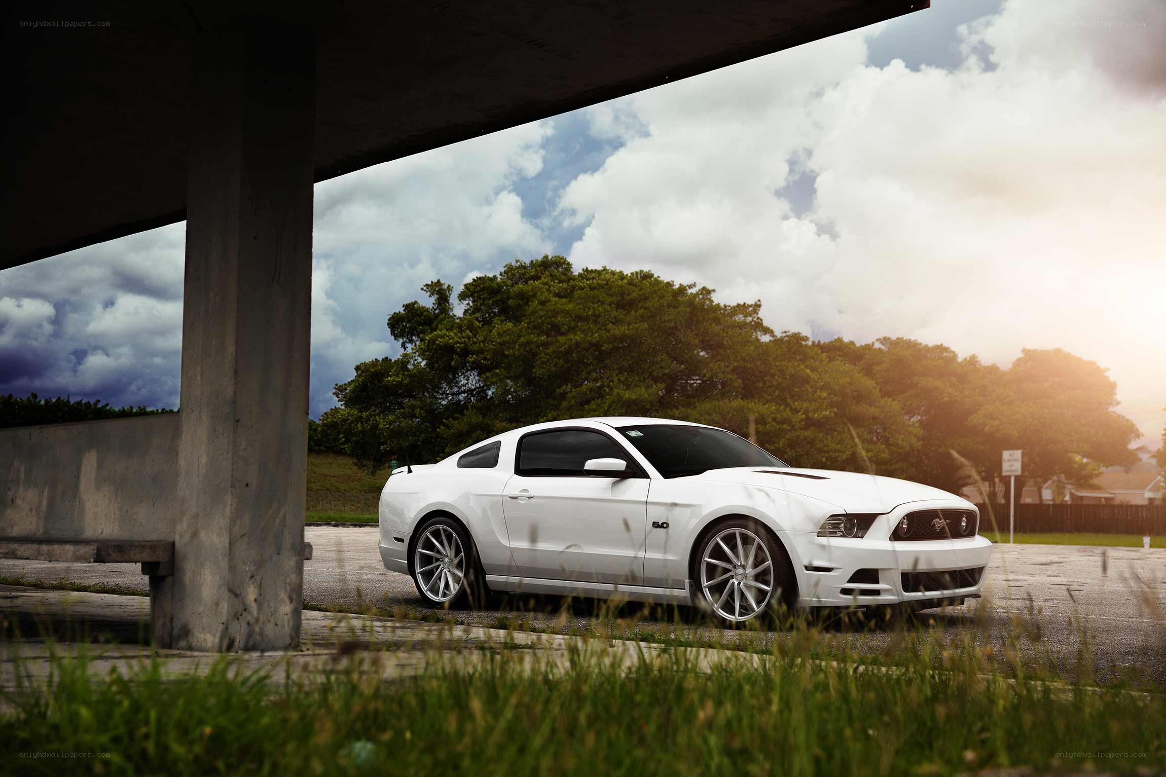 White Ford Mustang under overpass