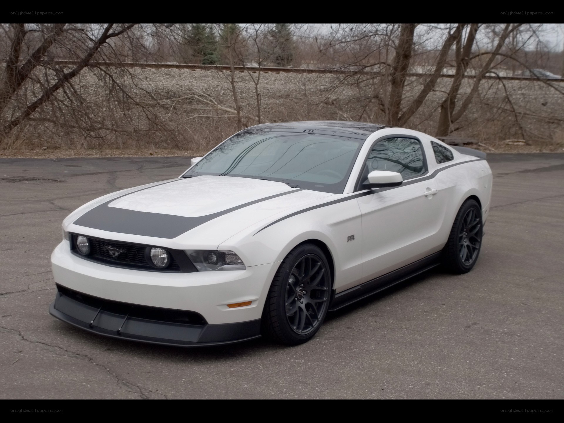 white ford mustang with black stripes