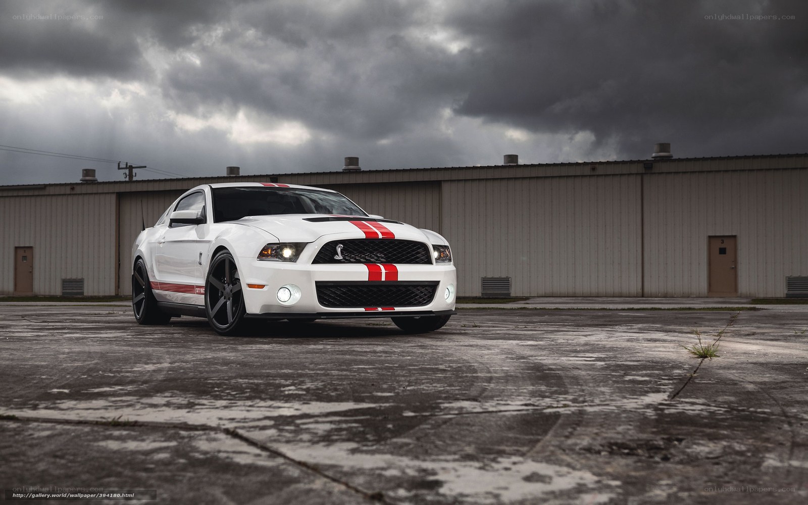 White Ford Mustang with red stripes