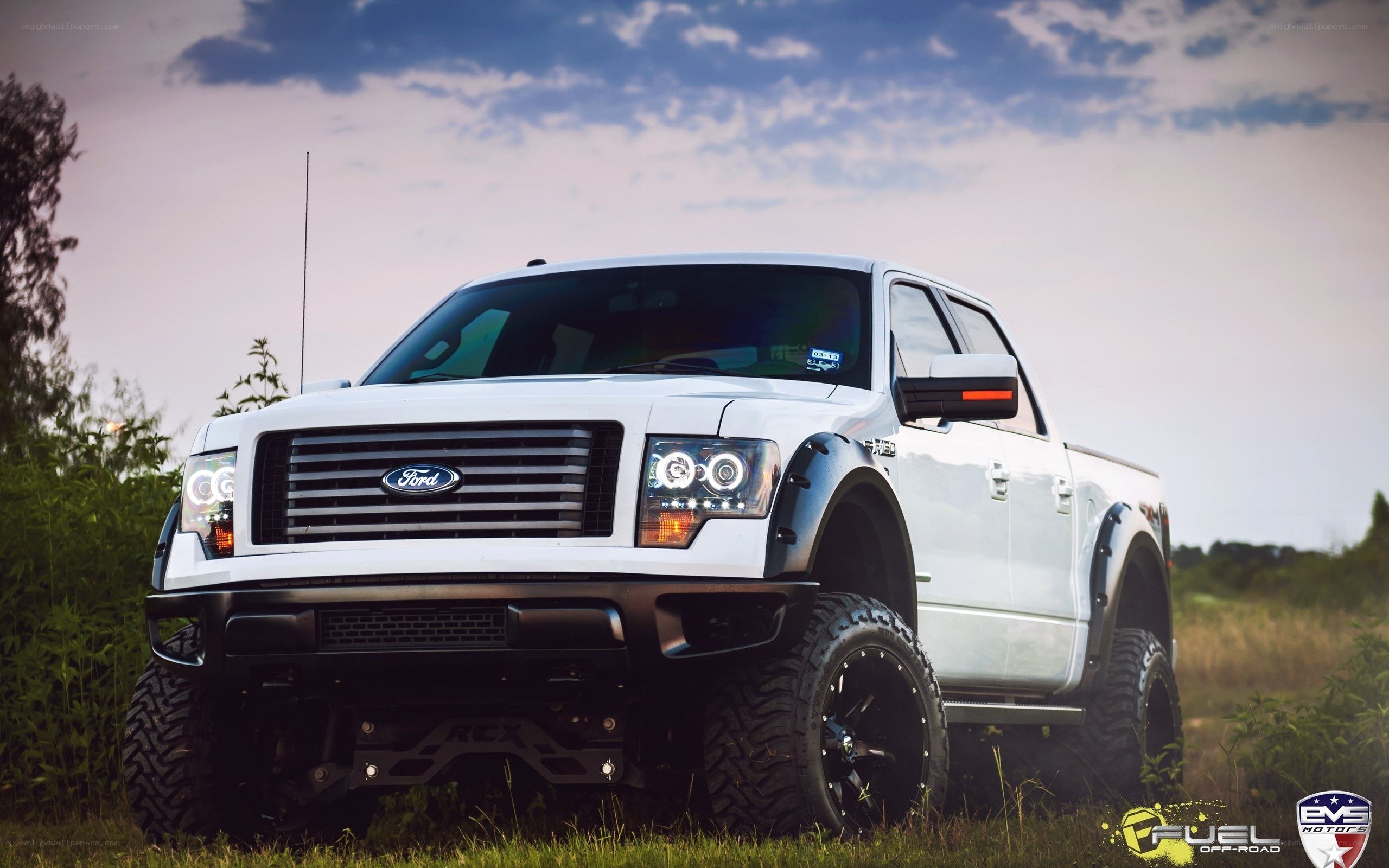 white ford pickup truck
